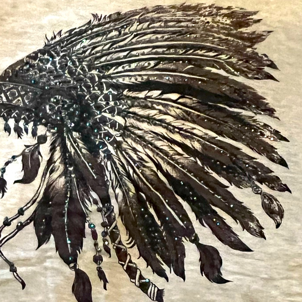 Indian headdress dressy tee.  Super soft.  XL Excellent condition.